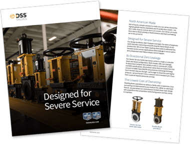 DSS Valves — Intro Brochure