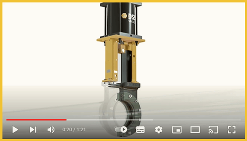 GSG-Video by DSS Valves